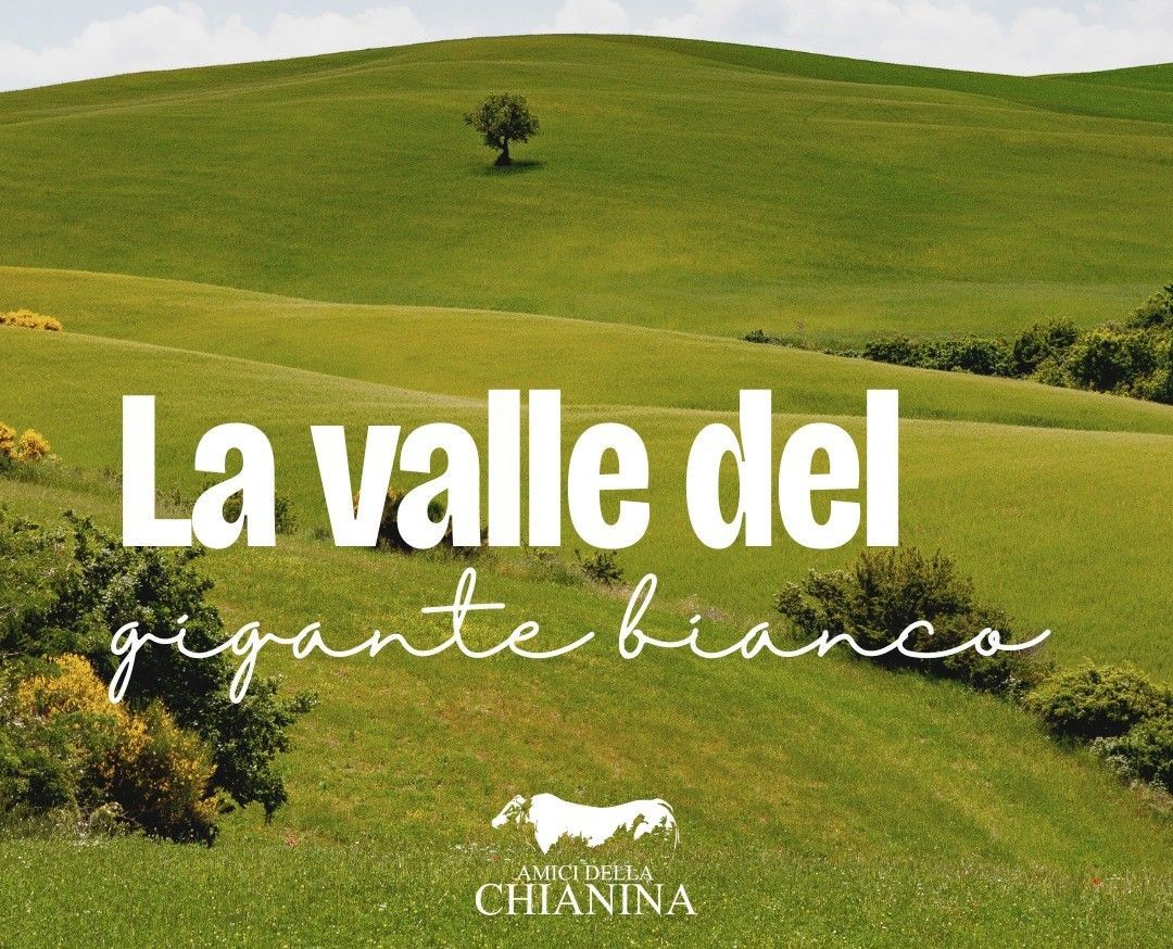 Bettolle vi accoglie nella Valle del Gigante Bianco