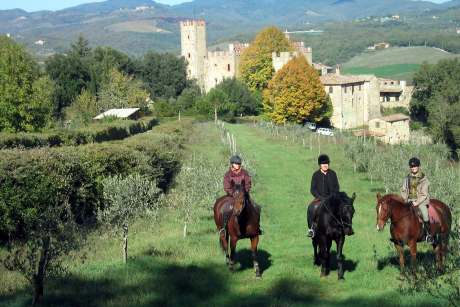 RIDING AND TASTING IN TUSCANY CHIANTI AREA