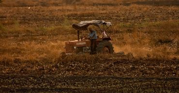 Tutti pronti a salire sul carro degli agricoltori